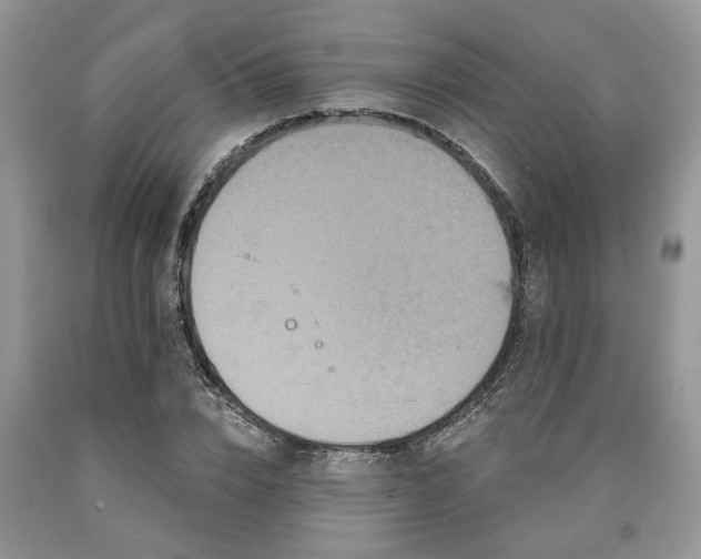 X0000090500832200707201545