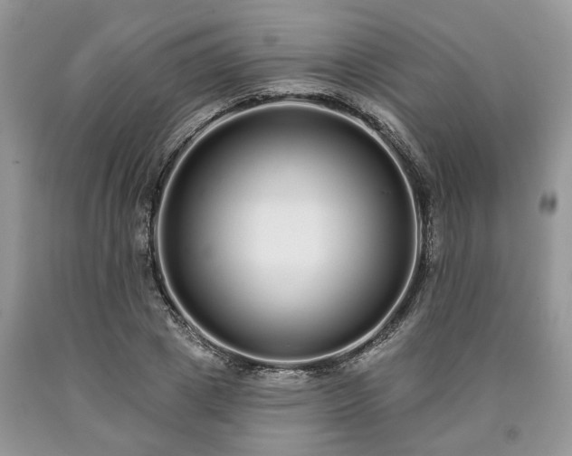 X0000090500833200707201545