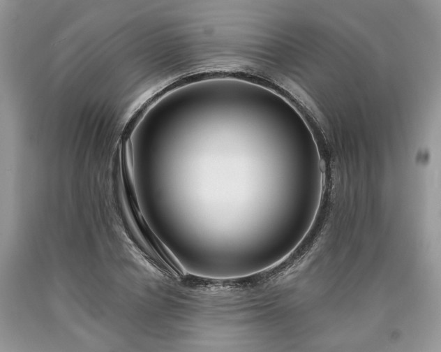 X0000090500834200707201545