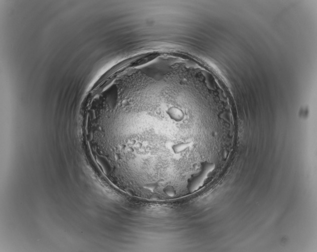 X0000090500835200707201545