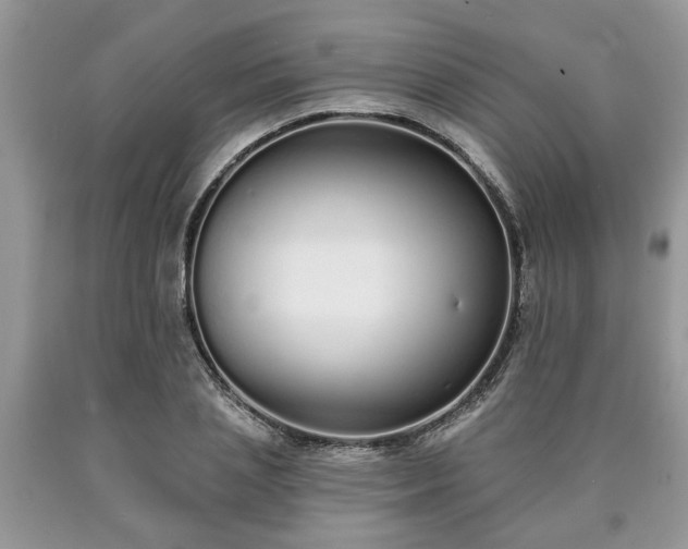 X0000090500837200707201545