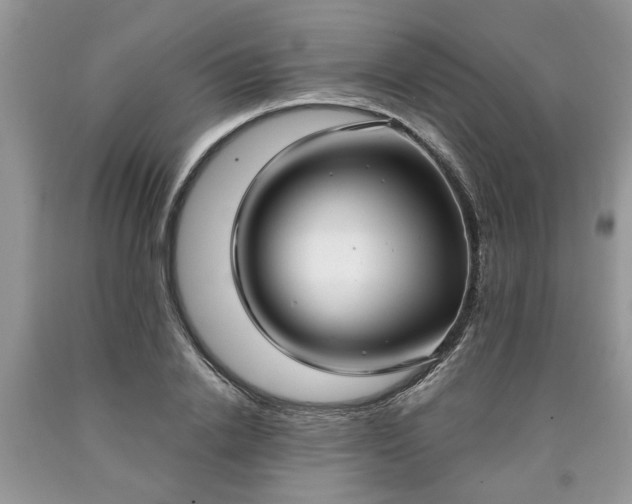X0000090500838200707201545