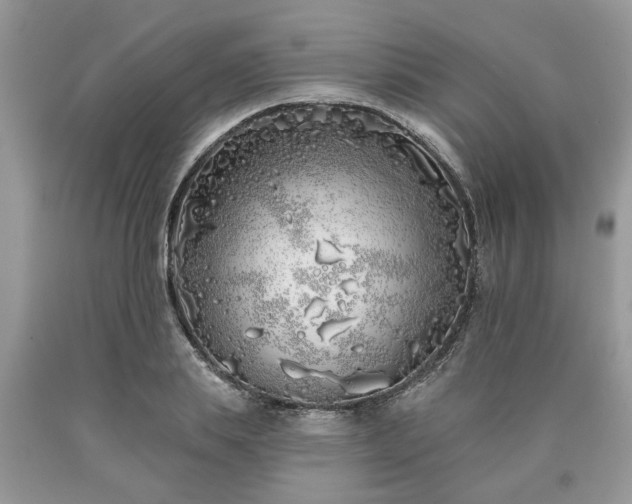X0000090500839200707201545