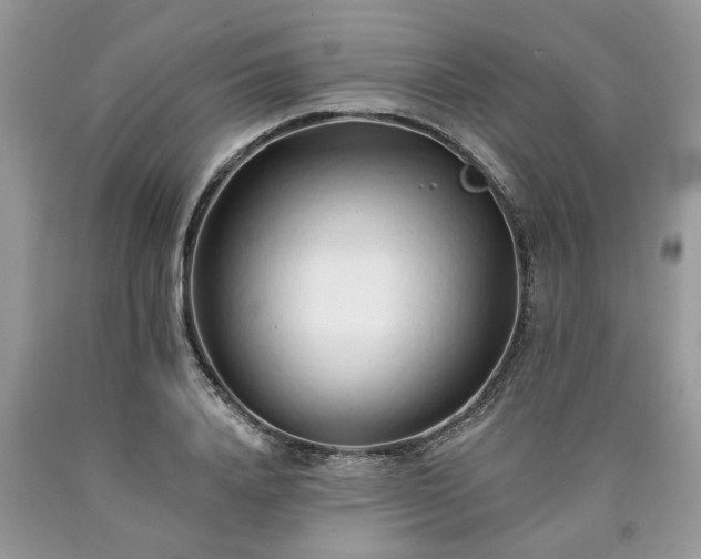 X0000090500840200707201545