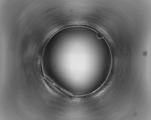 X0000090500841200707201545