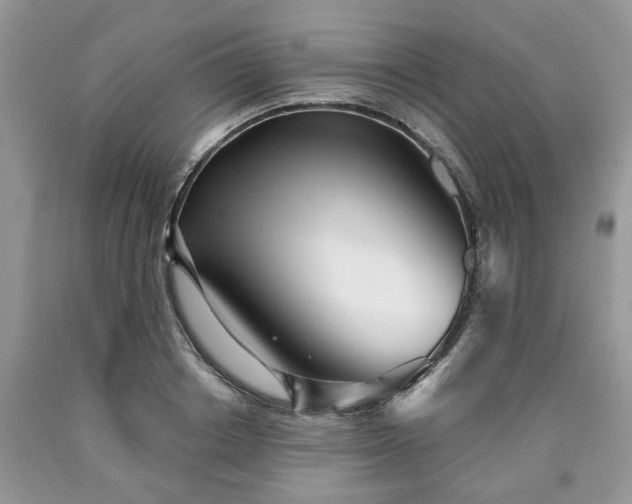 X0000090500842200707201545