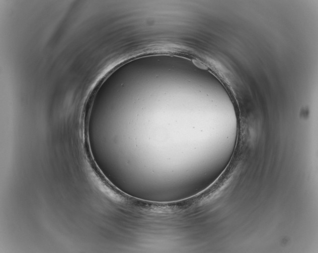 X0000090500843200707201545