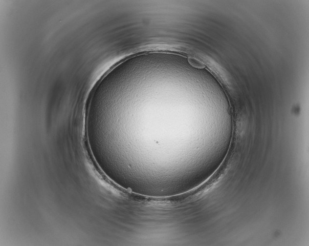 X0000090500844200707201545