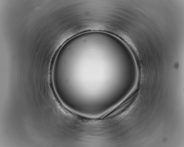 X0000090500845200707201545