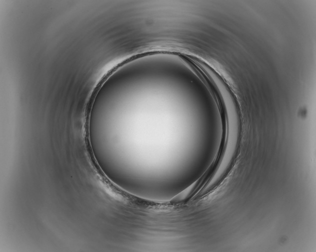 X0000090500846200707201545