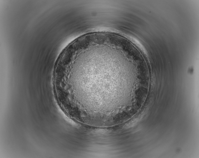 X0000090500847200707201545