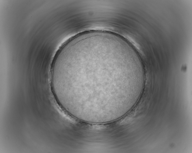 X0000090500848200707201545