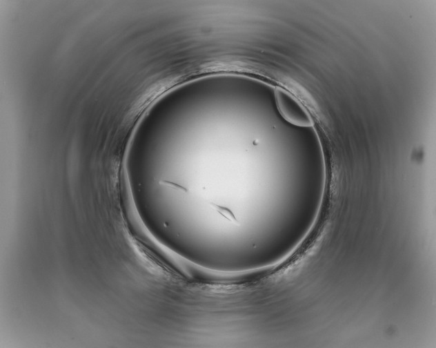 X0000090500849200707201545