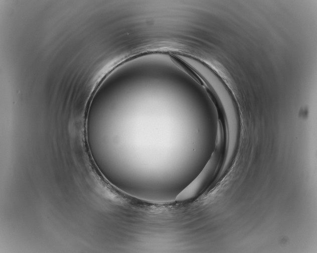 X0000090500850200707201545