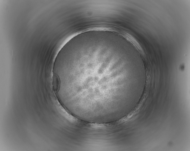 X0000090500852200707201545