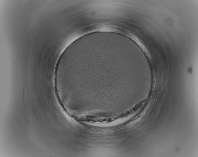 X0000090500853200707201545