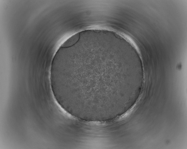 X0000090500855200707201545