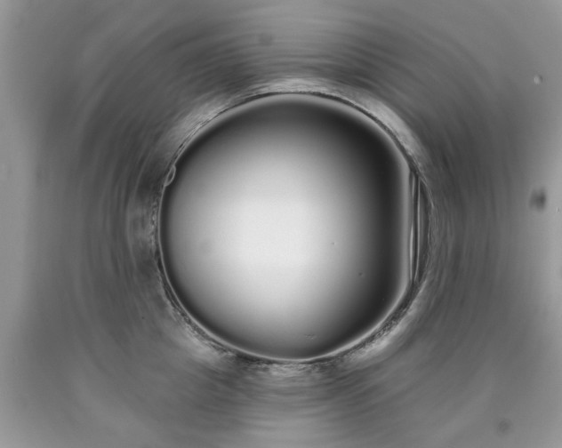 X0000090500857200707201545