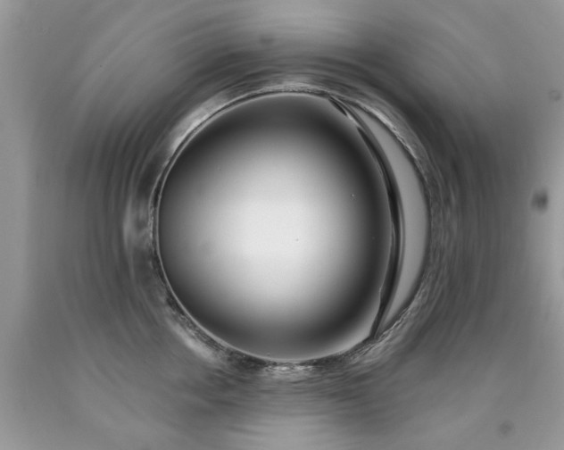 X0000090500858200707201545