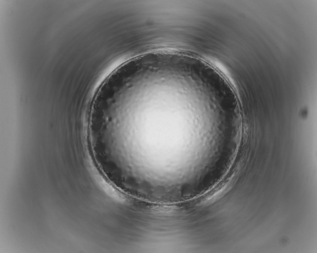 X0000090500859200707201545