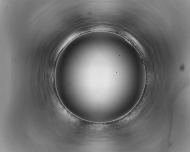 X0000090500860200707201545