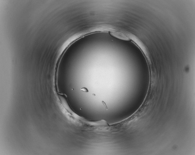 X0000090500861200707201545