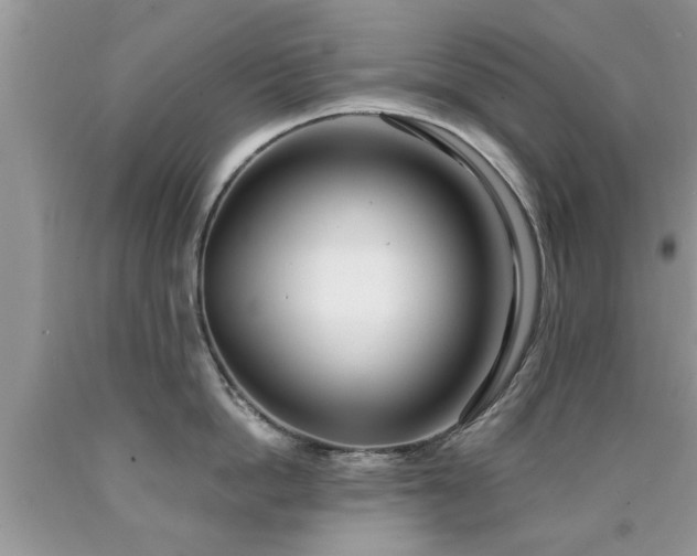 X0000090500862200707201545