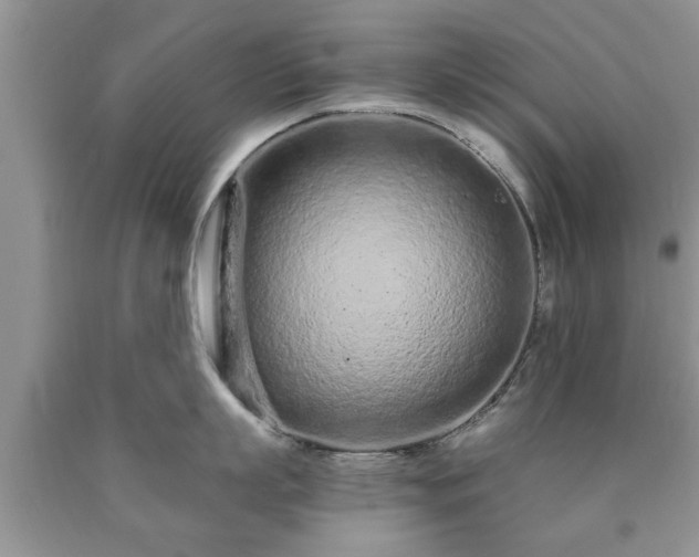 X0000090500863200707201545