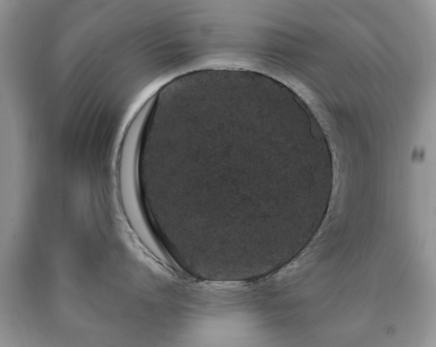 X0000090500864200707201545