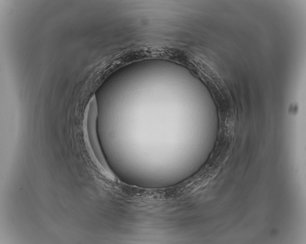 X0000090500865200707201545