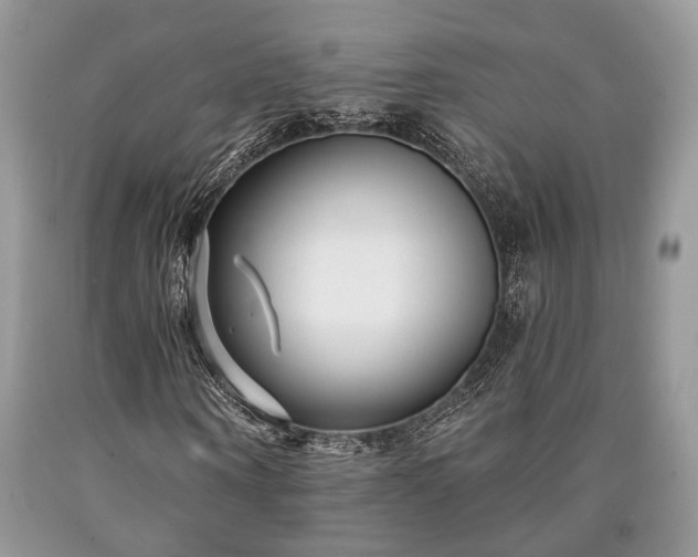 X0000090500866200707201545