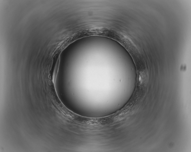 X0000090500867200707201544