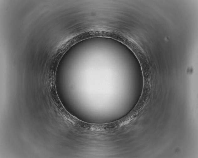 X0000090500870200707201544