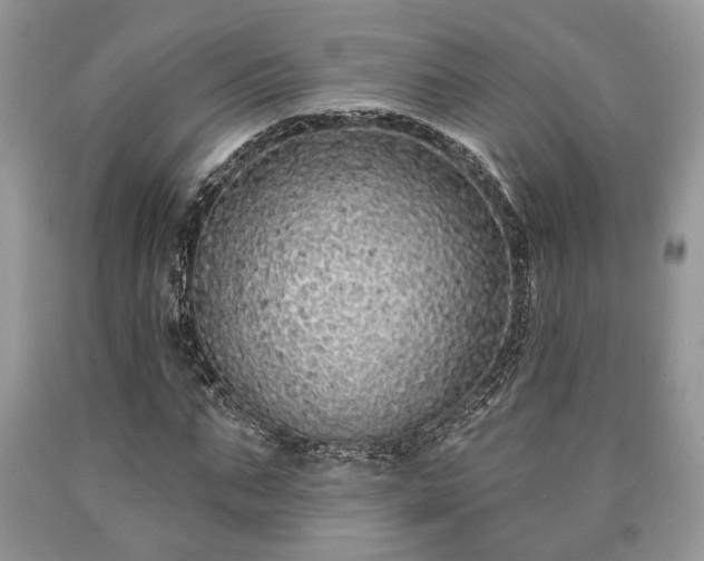X0000090500871200707201544