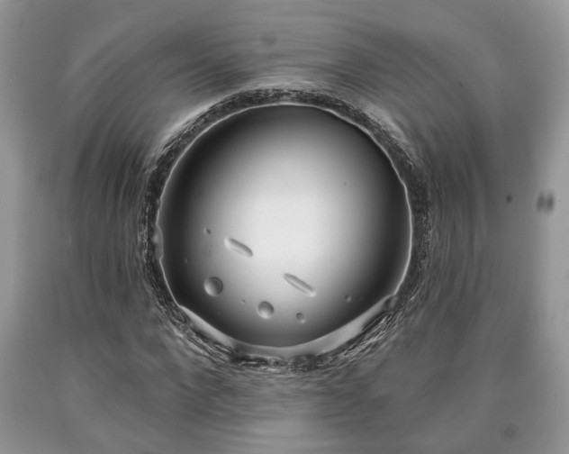 X0000090500872200707201544