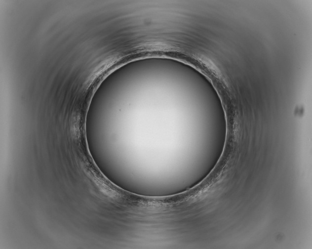 X0000090500873200707201544