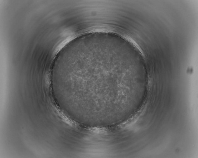 X0000090500874200707201544