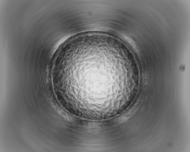 X0000090500875200707201544