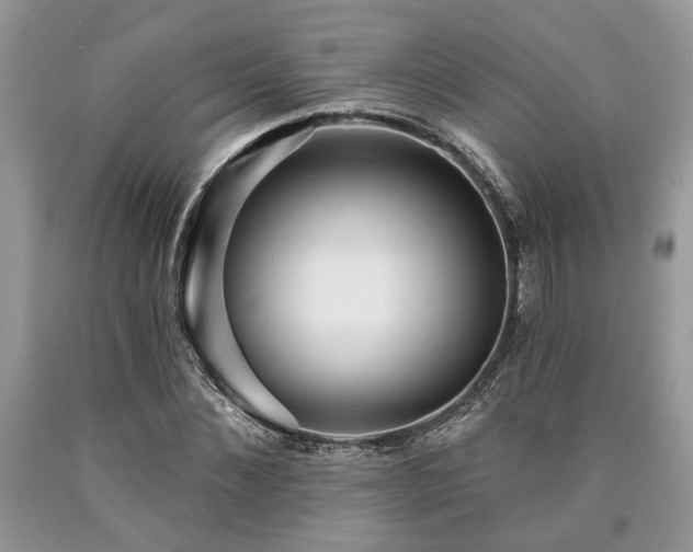 X0000090500876200707201544