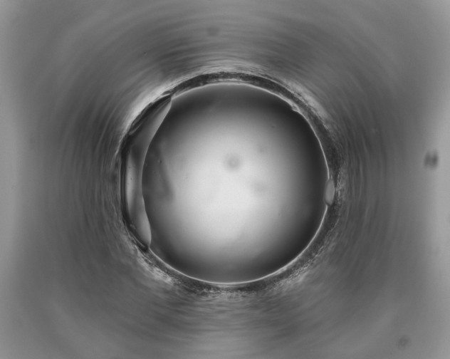X0000090500877200707201544