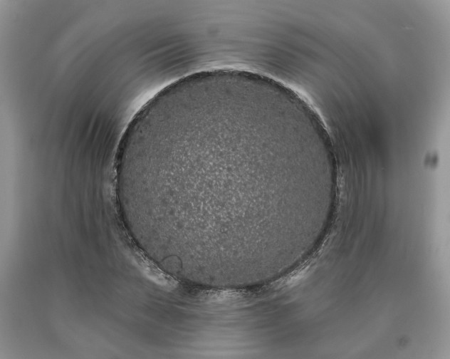 X0000090500879200707201544