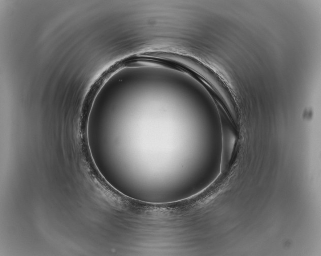 X0000090500880200707201544