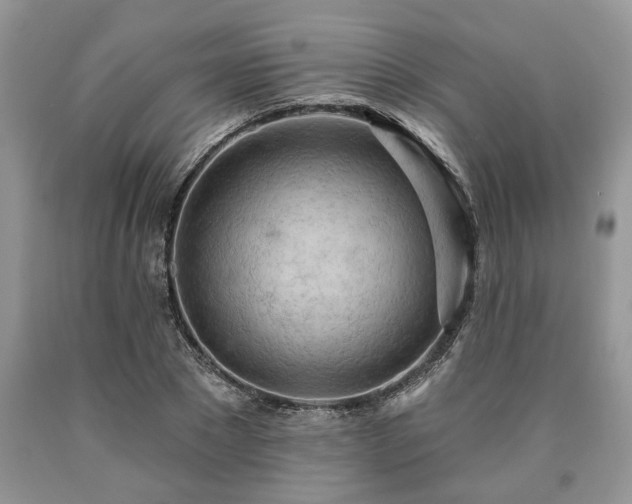 X0000090500881200707201544