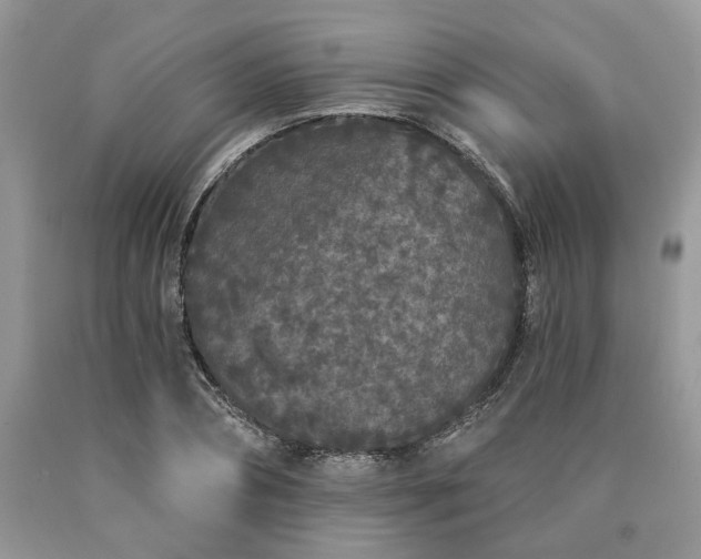 X0000090500882200707201544