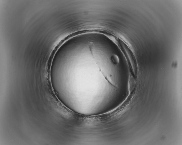 X0000090500883200707201544