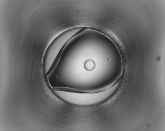 X0000090500884200707201544