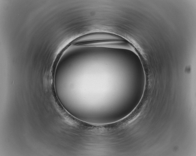 X0000090500885200707201544