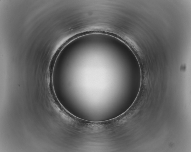 X0000090500888200707201544