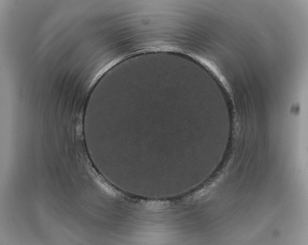 X0000090500889200707201544