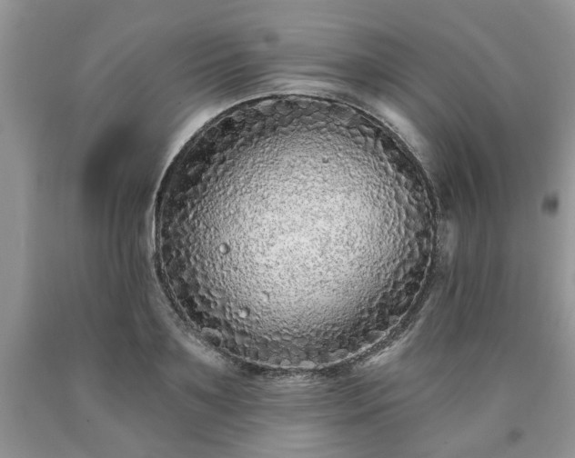 X0000090500891200707201544